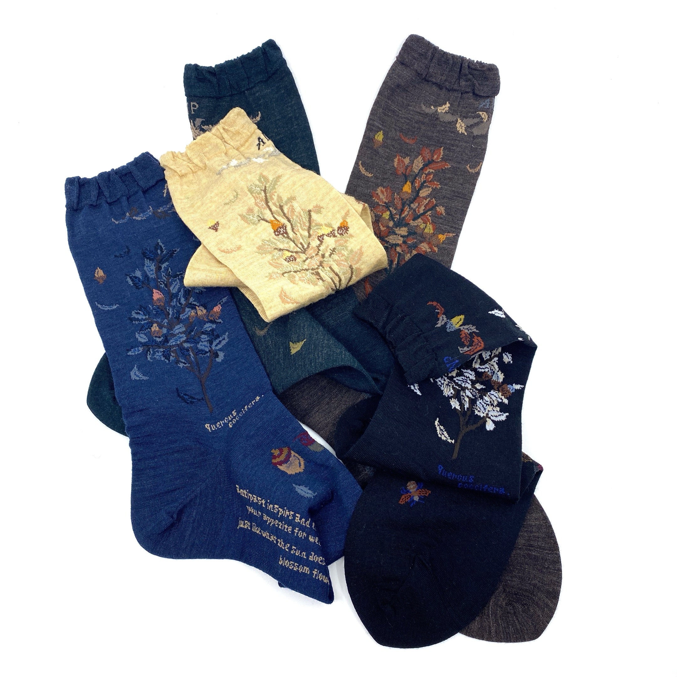 Antipast Socks Wind & Acorn Tree Beige