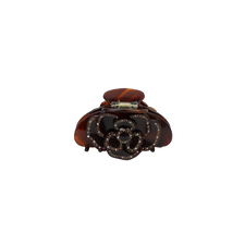 Selor Rose in Walnut